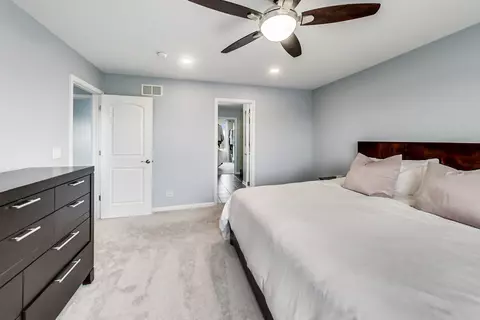 255 Sonora Dr, Elgin, IL 60124 photo 20