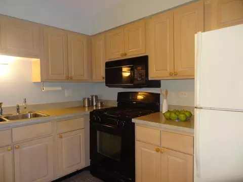 1658 Dover Ct #C, Wheaton, IL 60189 photo 20