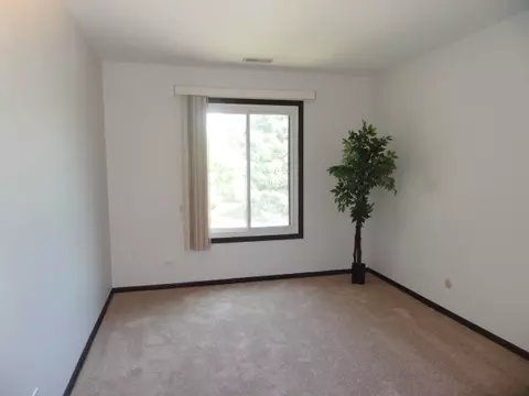 1658 Dover Ct #C, Wheaton, IL 60189 photo 24