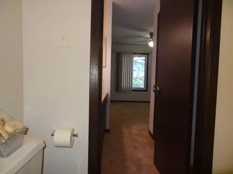 1658 Dover Ct #C, Wheaton, IL 60189 photo 29