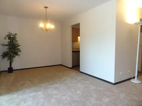 1658 Dover Ct #C, Wheaton, IL 60189 photo 13
