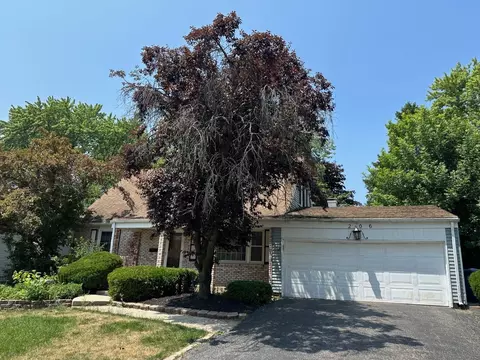 206 Wilmslow Ln, Schaumburg, IL 60194