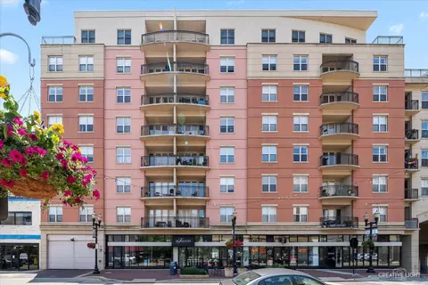 50 S Grove Ave #407, Elgin, IL 60120
