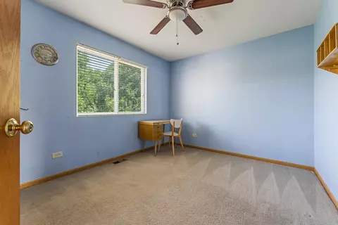 1718 Mountain Ridge Pass, Plainfield, IL 60586 photo 24