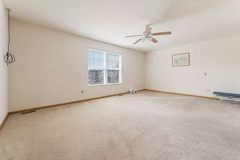 1718 Mountain Ridge Pass, Plainfield, IL 60586 photo 19
