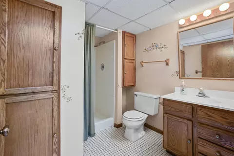 1127 Hidden Spring Dr, Naperville, IL 60540 photo 31