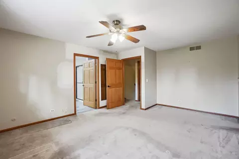 1127 Hidden Spring Dr, Naperville, IL 60540 photo 26