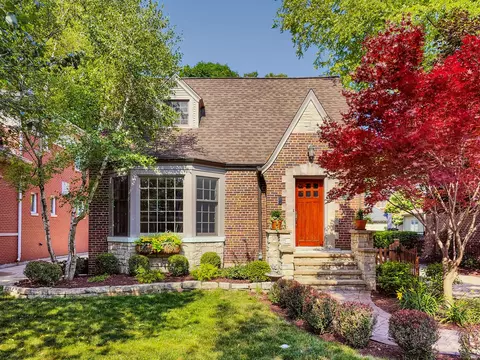 920 S Hamlin Ave, Park Ridge, IL 60068