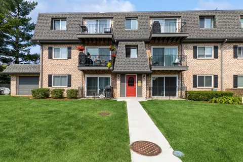 900 S Plum Grove Rd #115, Palatine, IL 60067