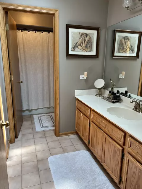 8043 Deer Path St, Justice, IL 60458 photo 10