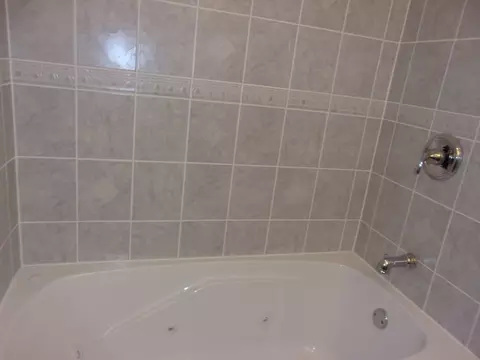5 E Carriageway Dr #203, Hazel Crest, IL 60429 photo 9
