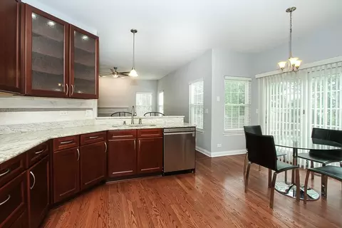 233 Moorehead Dr, Bartlett, IL 60103 photo 9