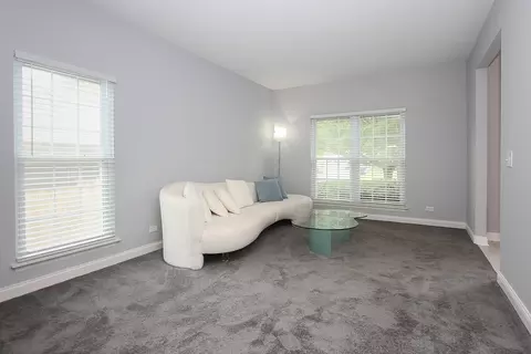 233 Moorehead Dr, Bartlett, IL 60103 photo 4
