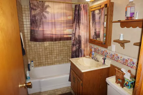 14602 Hamlin Ave, Midlothian, IL 60445 photo 15