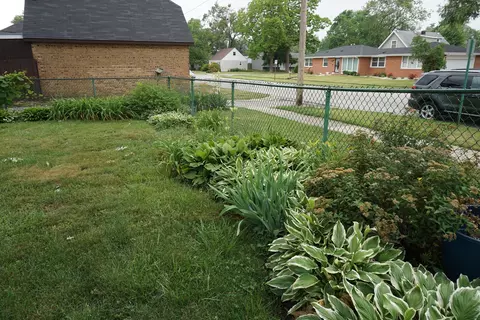 14602 Hamlin Ave, Midlothian, IL 60445 photo 18