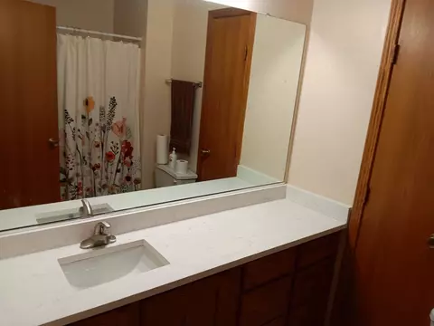 1560 Mallards Cv, Beecher, IL 60401 photo 20