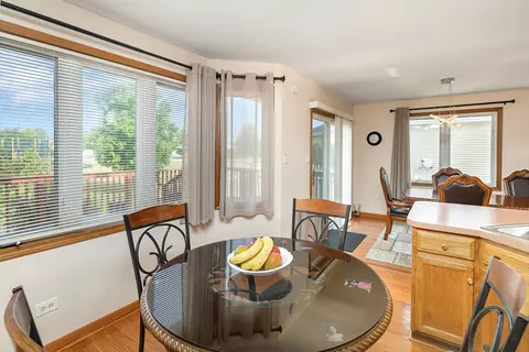 1560 Mallards Cv, Beecher, IL 60401 photo 13