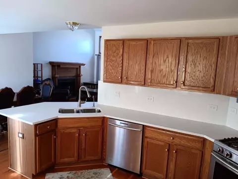 1560 Mallards Cv, Beecher, IL 60401 photo 12