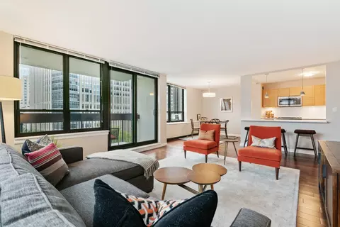 222 E Pearson St #902, Chicago, IL 60611 photo 5