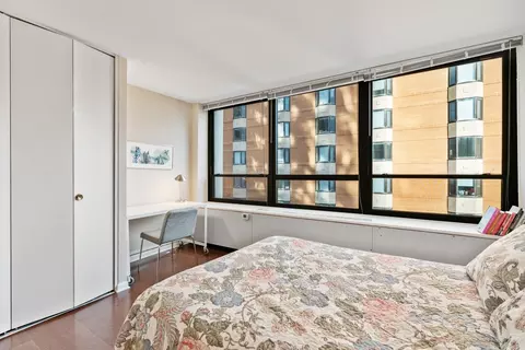 222 E Pearson St #902, Chicago, IL 60611 photo 19