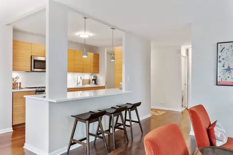 222 E Pearson St #902, Chicago, IL 60611 photo 9
