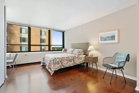 222 E Pearson St #902, Chicago, IL 60611 photo 18