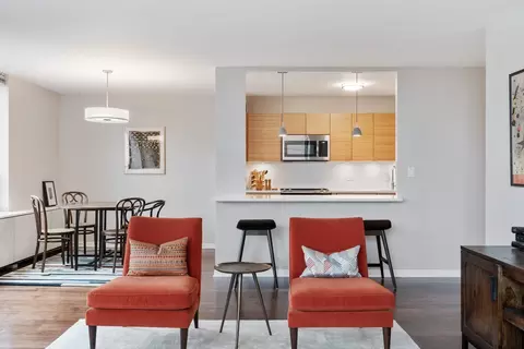 222 E Pearson St #902, Chicago, IL 60611 photo 8