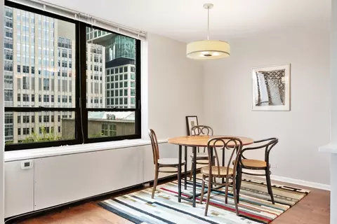 222 E Pearson St #902, Chicago, IL 60611 photo 13