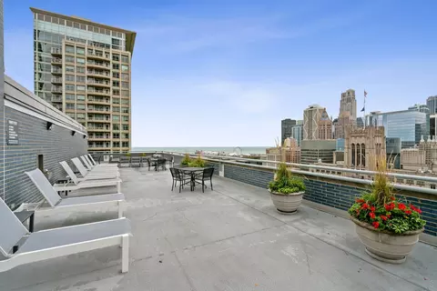 222 E Pearson St #902, Chicago, IL 60611 photo 25