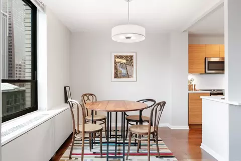 222 E Pearson St #902, Chicago, IL 60611 photo 14