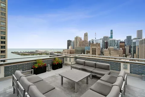 222 E Pearson St #902, Chicago, IL 60611 photo 30