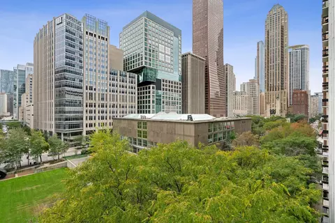 222 E Pearson St #902, Chicago, IL 60611 photo 24