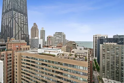 222 E Pearson St #902, Chicago, IL 60611 photo 31