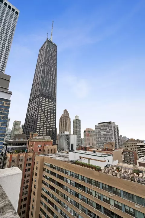222 E Pearson St #902, Chicago, IL 60611 photo 33