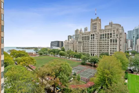 222 E Pearson St #902, Chicago, IL 60611 photo 23