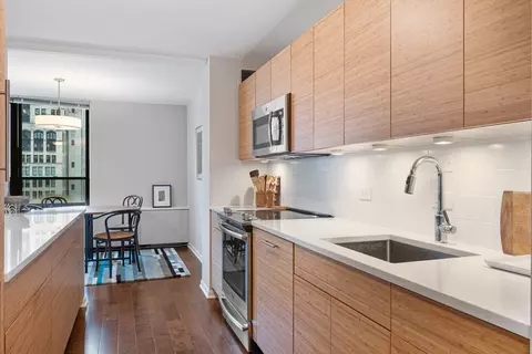 222 E Pearson St #902, Chicago, IL 60611 photo 10