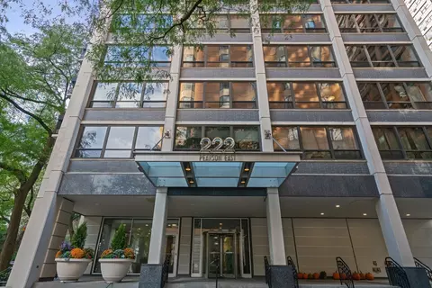 222 E Pearson St #902, Chicago, IL 60611 photo 29