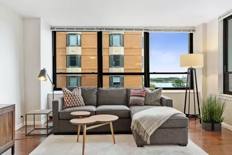 222 E Pearson St #902, Chicago, IL 60611 photo 4