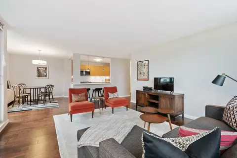 222 E Pearson St #902, Chicago, IL 60611 photo 7