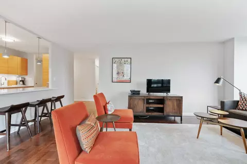 222 E Pearson St #902, Chicago, IL 60611 photo 6