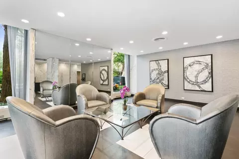 222 E Pearson St #902, Chicago, IL 60611 photo 27