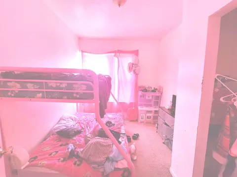 7210 S Eberhart Ave, Chicago, IL 60619 photo 14