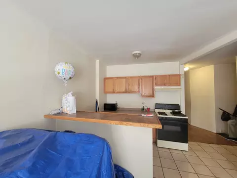 7210 S Eberhart Ave, Chicago, IL 60619 photo 3