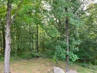 3 N Cedar Ln, Putnam, IL 61560 photo 6