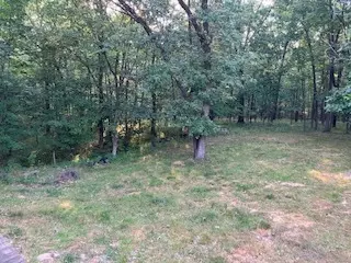 3 N Cedar Ln, Putnam, IL 61560 photo 5
