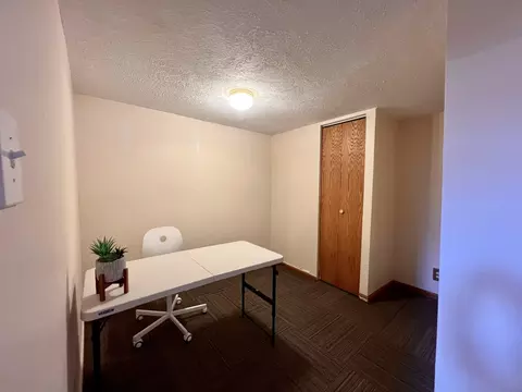 906 Normal Ave, Normal, IL 61761 photo 29
