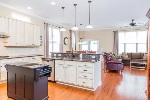 3853 Olympia Fields Dr, Elgin, IL 60124 photo 5