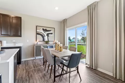 25550 W Springview Dr, Plainfield, IL 60586 photo 9