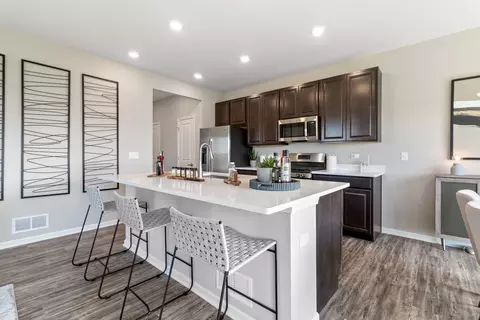 25550 W Springview Dr, Plainfield, IL 60586 photo 6