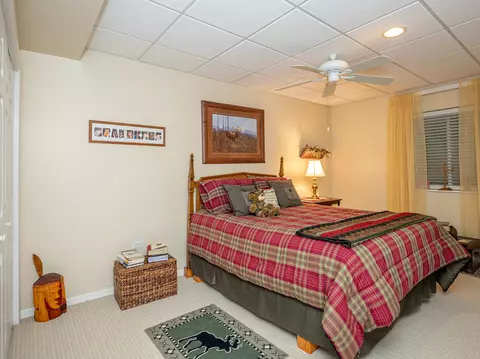 21015 W Braxton Ln, Plainfield, IL 60544 photo 13
